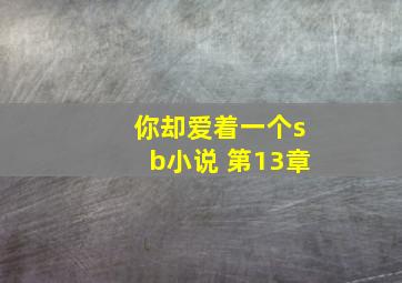 你却爱着一个sb小说 第13章